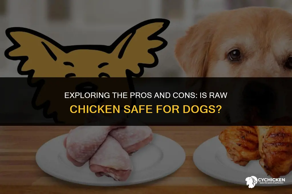is it healthy to feed dogs raw chicken