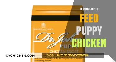 Nourishing Your Puppy: The Truth About Chicken in Their Diet