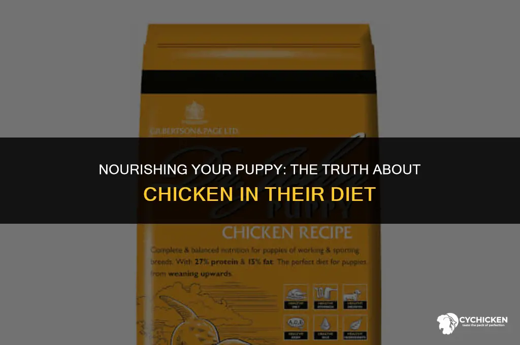 is it healthy to feed puppy chicken