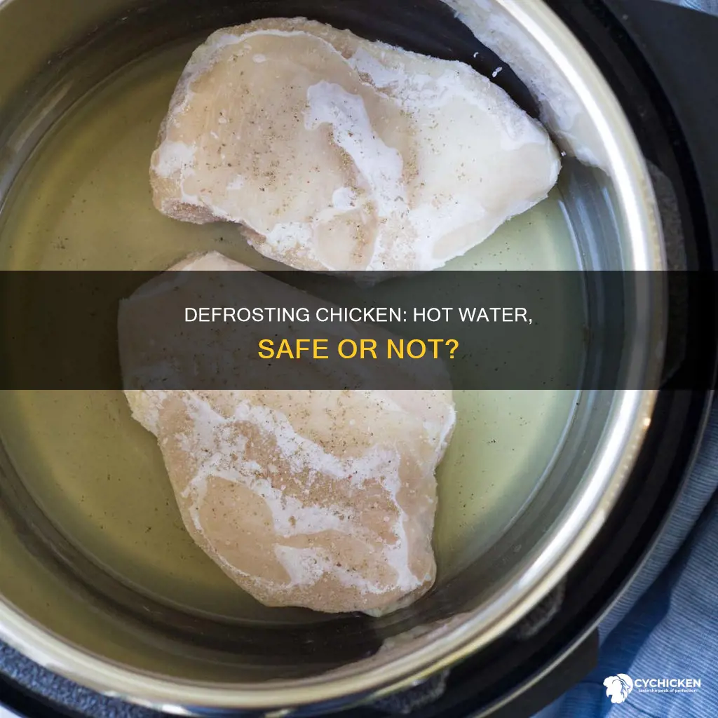 is it ikay to defrost chicken in jot water