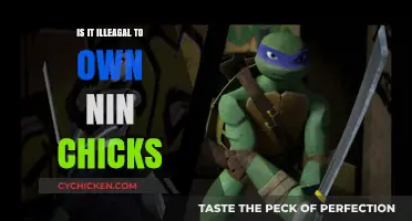 Owning Ninja Chicks: Legal or Illegal? Uncovering the Truth