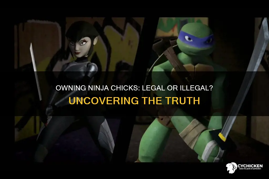 is it illeagal to own nin chicks