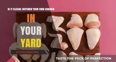 Butchering Chickens at Home: Is It Legal?