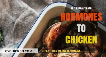Hormones in Chicken: Legal or Illegal? Uncovering the Truth