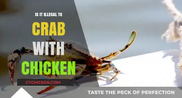 Is Crabbing with Chicken Legal? Understanding the Rules and Regulations