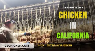 Killing Chickens: California's Legal Stance on Poultry