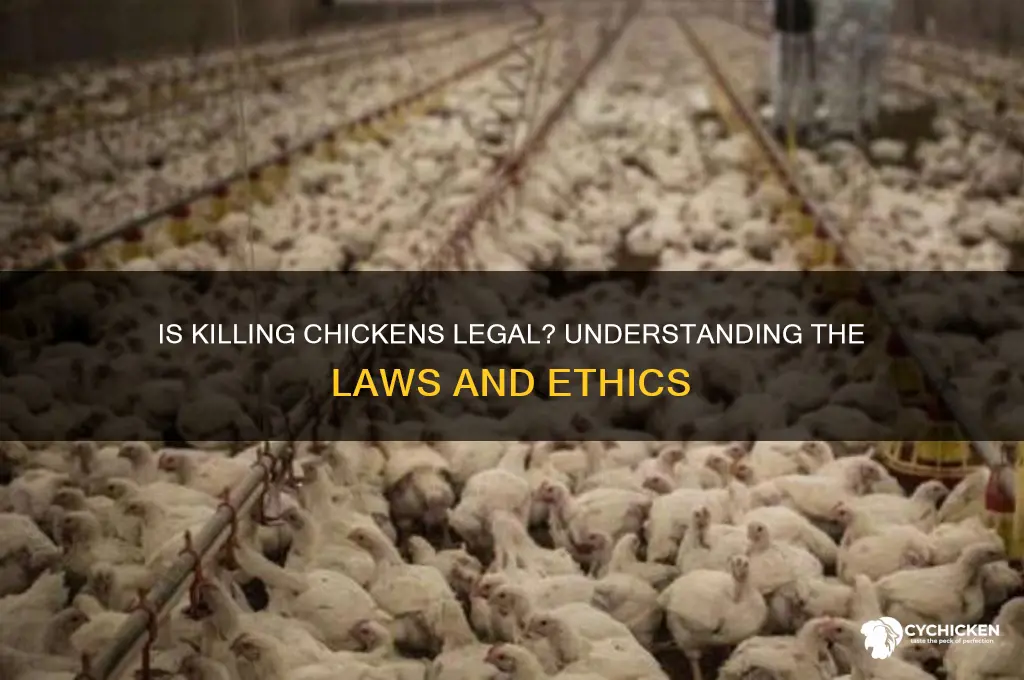 is it illegal to kill a chicken