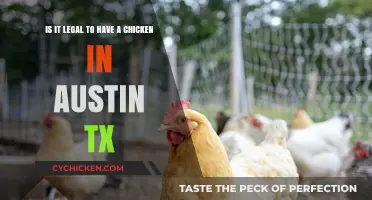 Keep Chickens Legally in Austin, Texas?