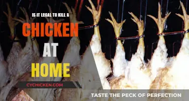 Killing Chickens: What's the Law?