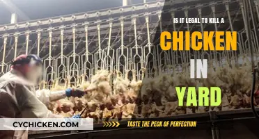 Killing Chickens: What's the Law?