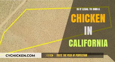 Chicken Ownership in California: What's the Law?