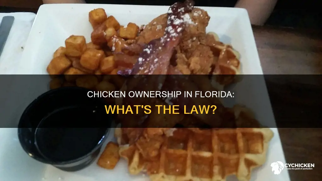 is it legal to own a chicken in florida
