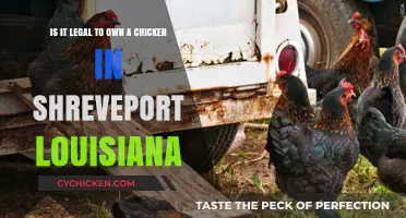 Chicken Ownership in Shreveport, Louisiana: What's the Law?
