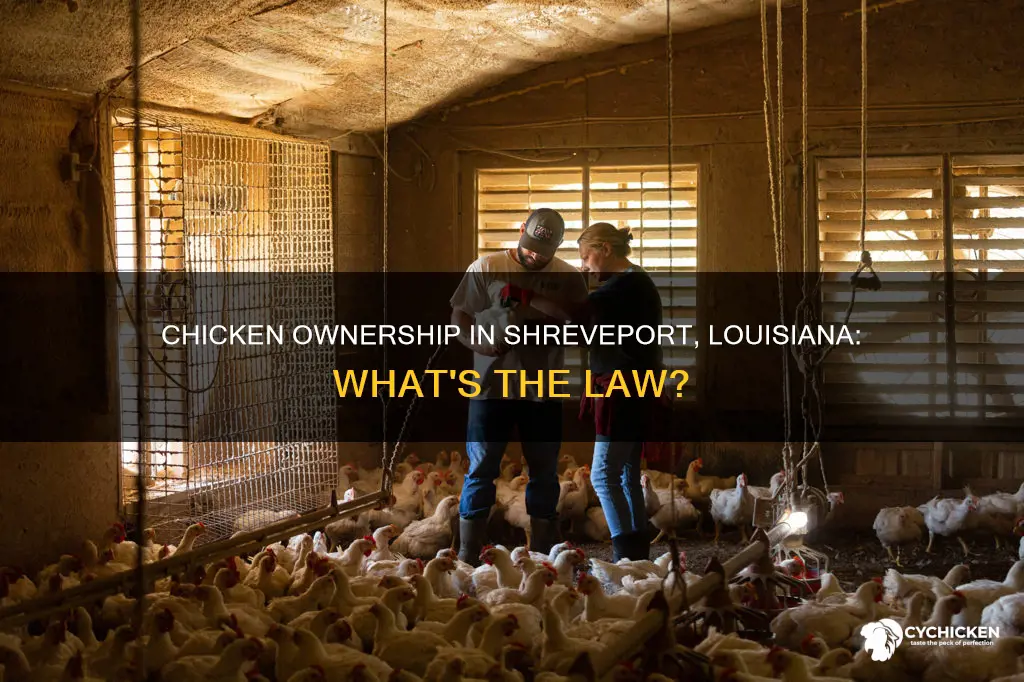 is it legal to own a chicken in shreveport louisiana