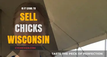 Selling Chicks in Wisconsin: Legal Guidelines and Regulations Explained