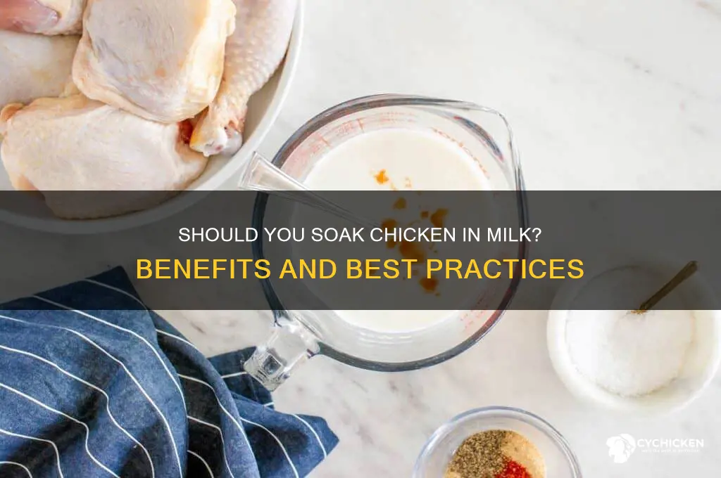 is it necessary to soak chicken in milk