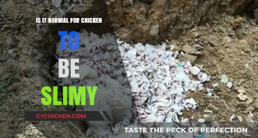 Is Slimy Chicken Safe? Understanding Texture and Freshness Concerns