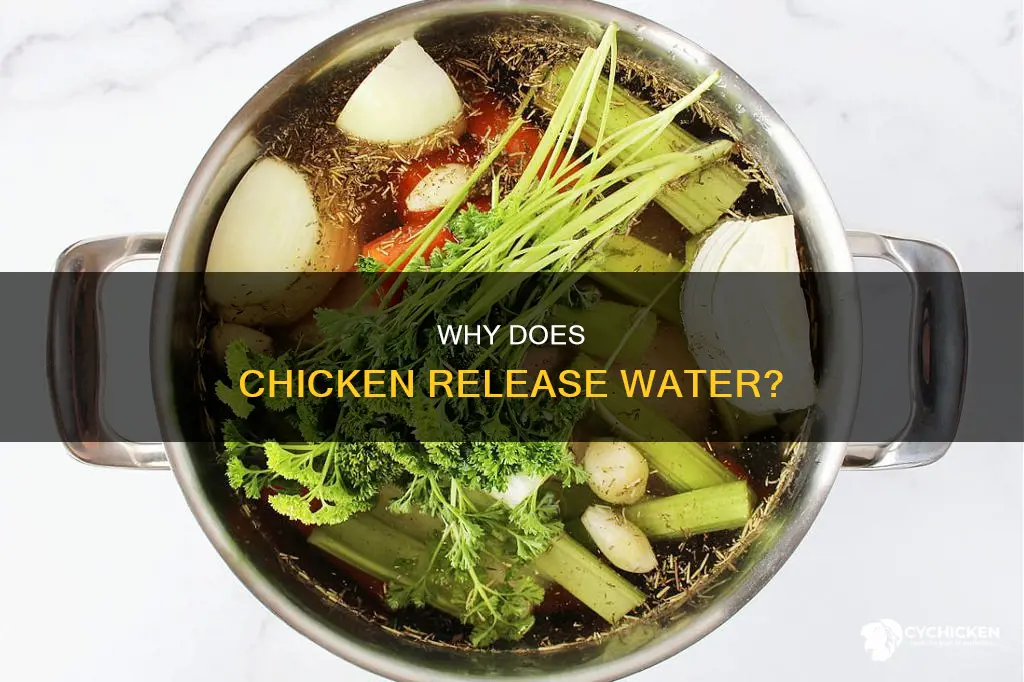 is it normal for chicken to form water in pan