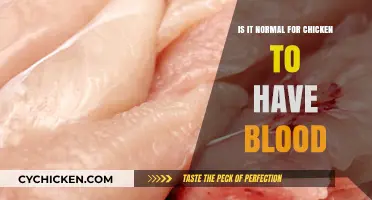 Is Chicken Blood Normal? Understanding Your Poultry's Health