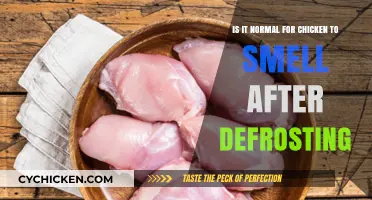 Why Does My Chicken Smell After Defrosting?