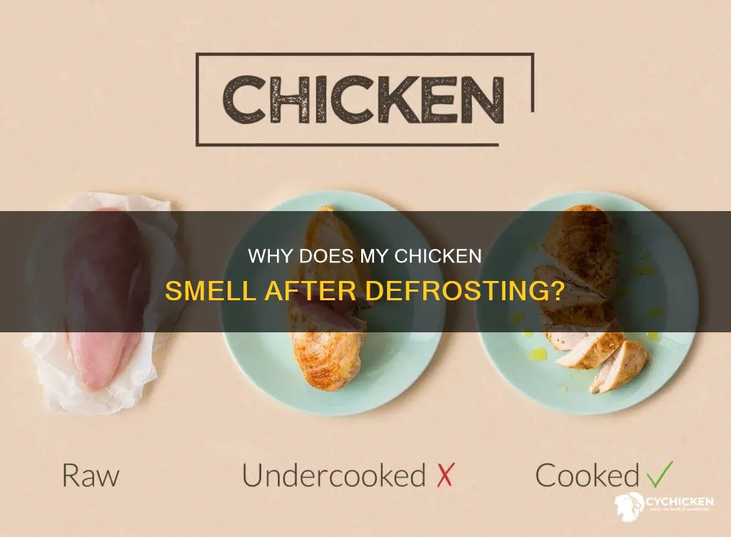 is it normal for chicken to smell after defrosting