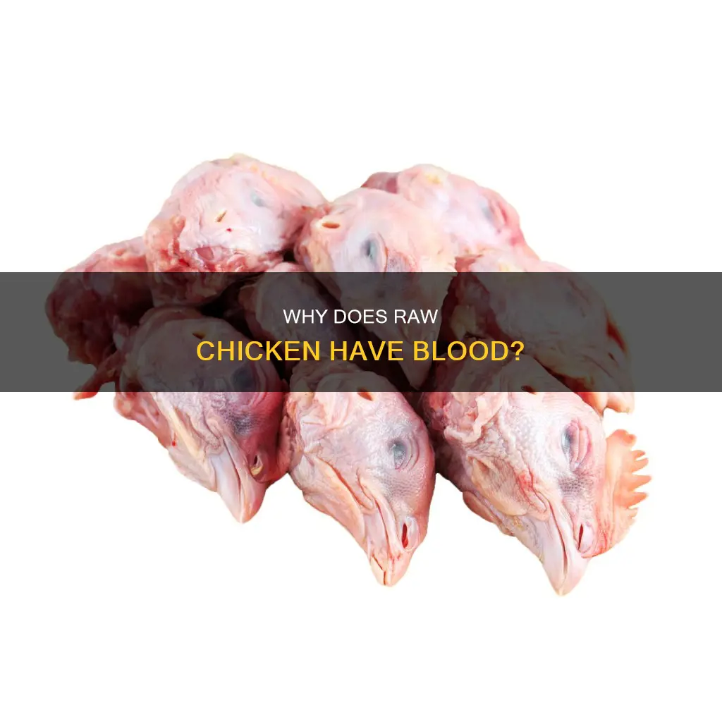 is it normal for raw chicken to have blood