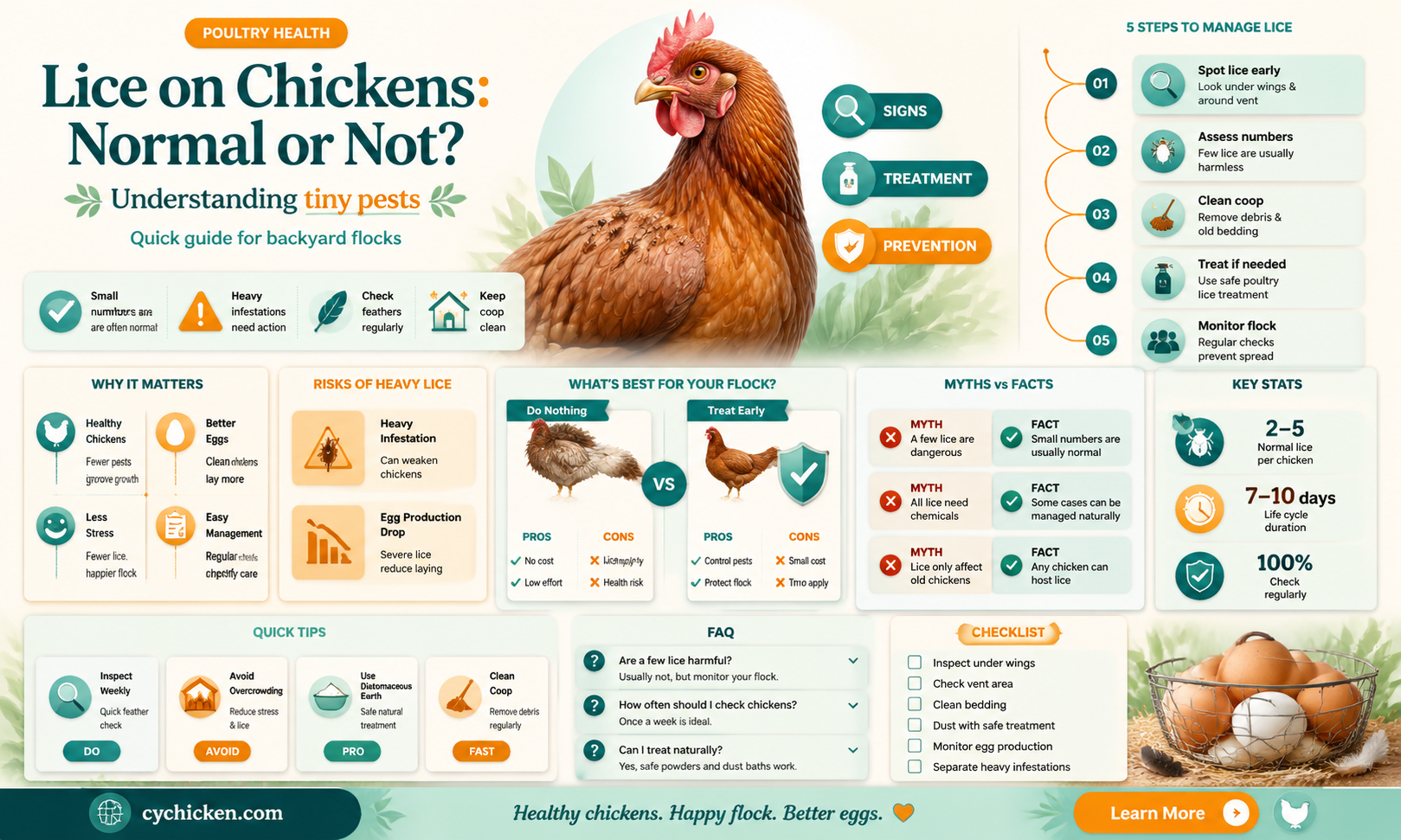 are a few lice on a chicken normal