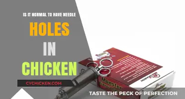 Why Do Chickens Have Needle Holes?