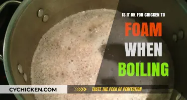 Is Foaming Chicken Stock Safe to Consume?