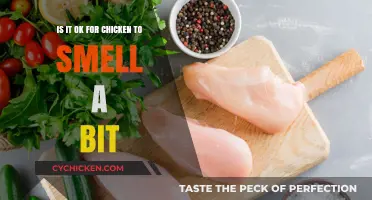 Chicken Odor: Is It Normal or Not?