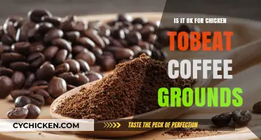 Can Chickens Eat Coffee Grounds? Exploring Safety and Benefits