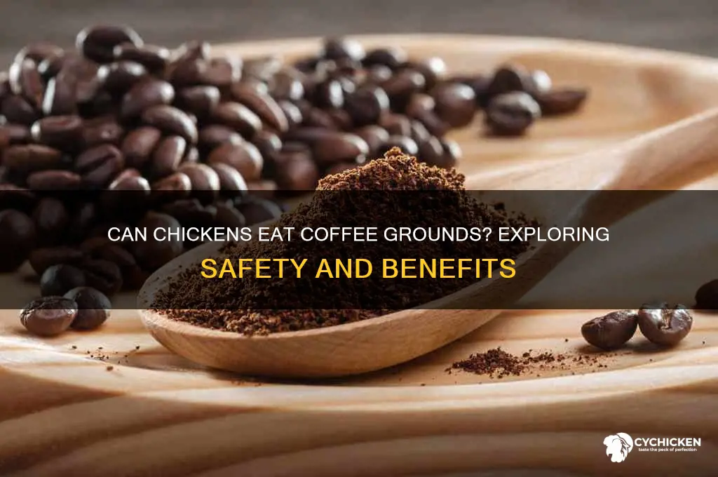 is it ok for chicken tobeat coffee grounds