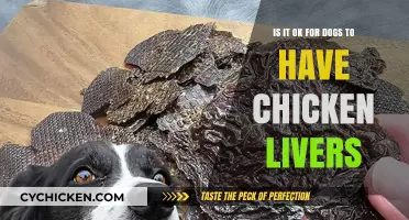 Chicken Livers: A Healthy Treat for Dogs?