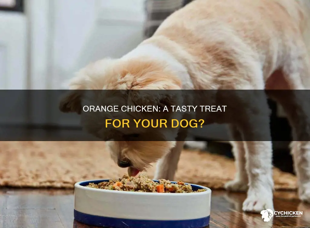 is it ok for my dog to have orange chicken