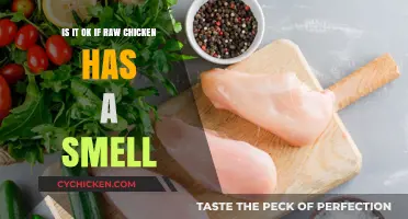 Raw Chicken Smell: Safe or Not?