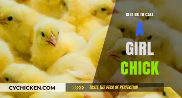 Is 'Chick' Acceptable? Navigating Gendered Language in Modern Conversations