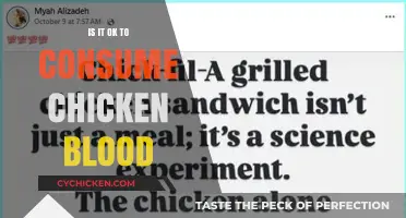 Is Consuming Chicken Blood Safe? Exploring Cultural Practices and Health Risks