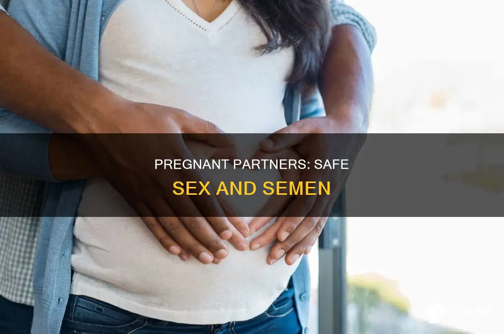 is it ok to cum in a pregnant chick