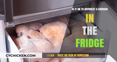 Defrosting Chicken: Fridge or No Fridge?