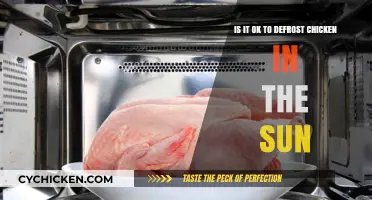Defrosting Chicken in the Sun: Safe or Not?