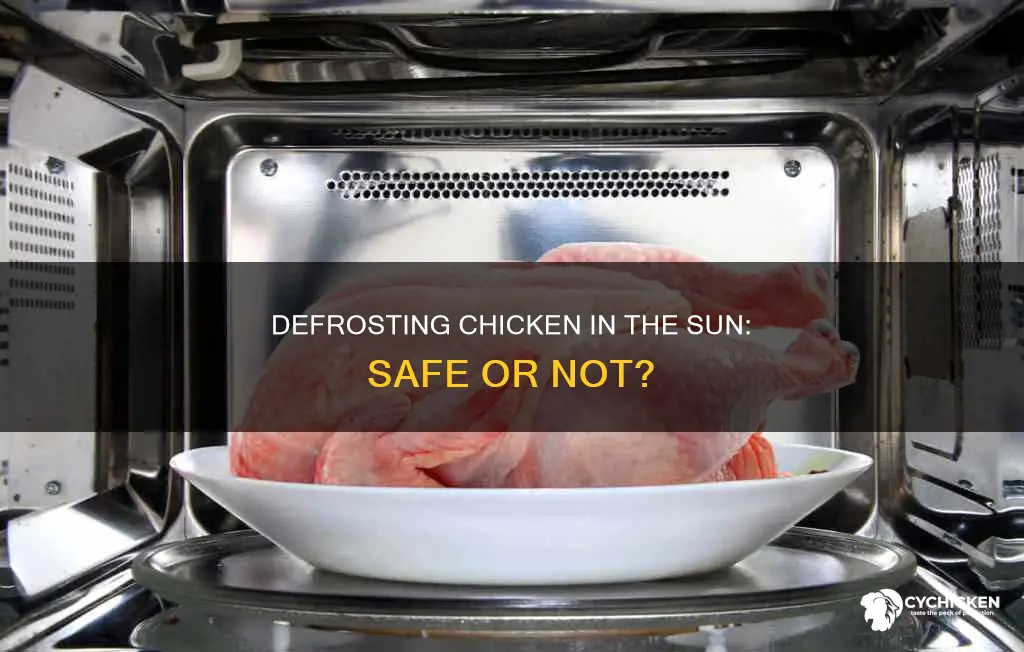 is it ok to defrost chicken in the sun
