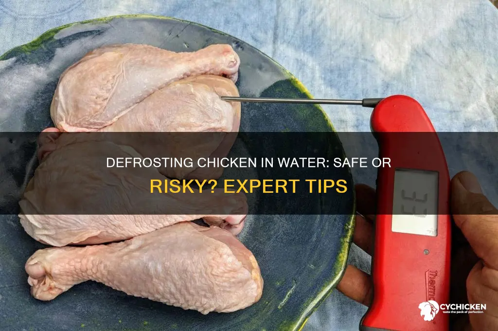 is it ok to defrost chicken in water