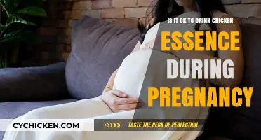 Chicken Essence and Pregnancy: Safe or Not?