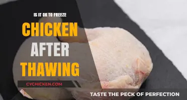 Can You Safely Refreeze Thawed Chicken? Expert Tips and Advice