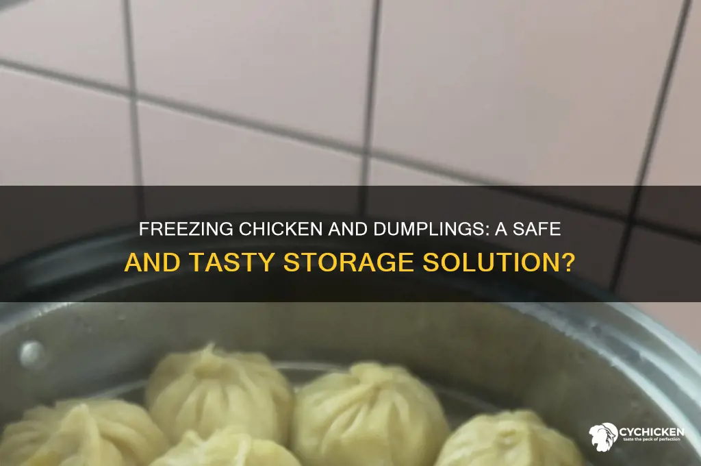 is it ok to freeze chicken and dumplings