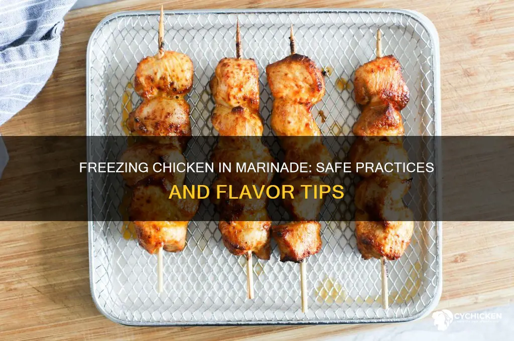 is it ok to freeze chicken in marinade