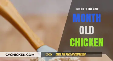 Introducing Chicken to Your 10-Month-Old: Is It Safe?