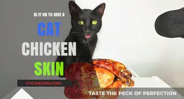 Should Cats Eat Chicken Skin?