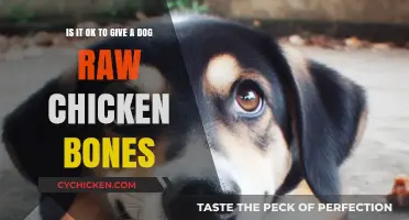Raw Chicken Bones: Safe Treat or Deadly Risk for Dogs?