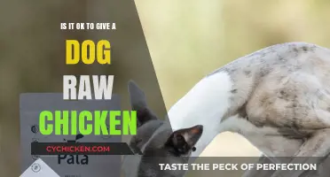 Raw Chicken for Dogs: Safe or Not?